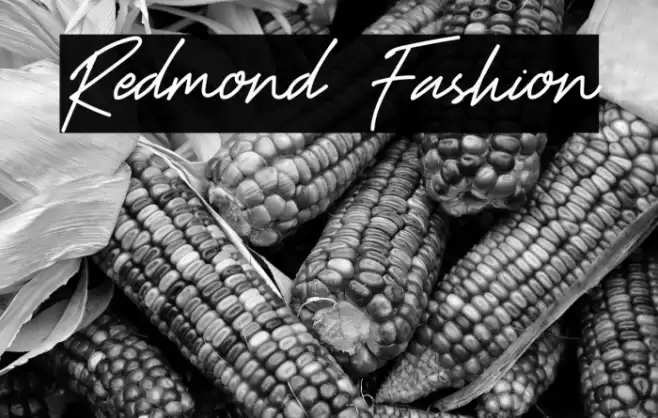 Redmond Fashion Font examples