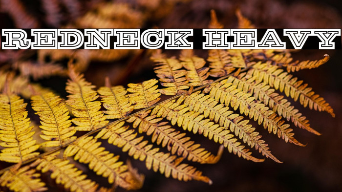 Redneck Heavy Example 1