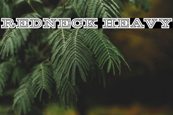 Redneck Heavy Example 3