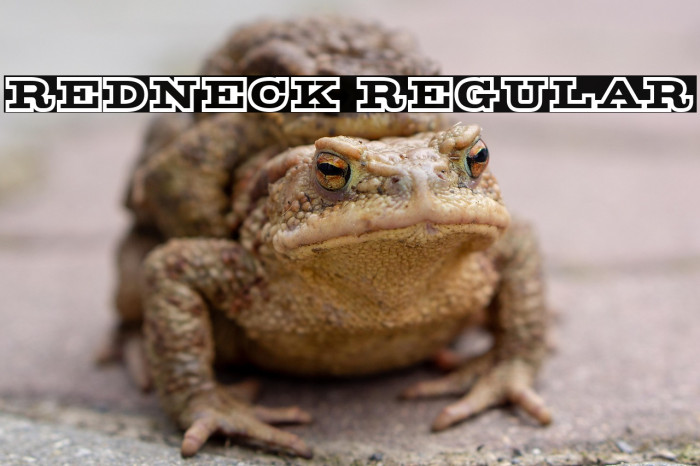 Redneck Regular Example 1