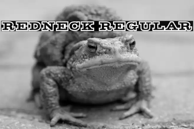 Redneck Regular Font examples