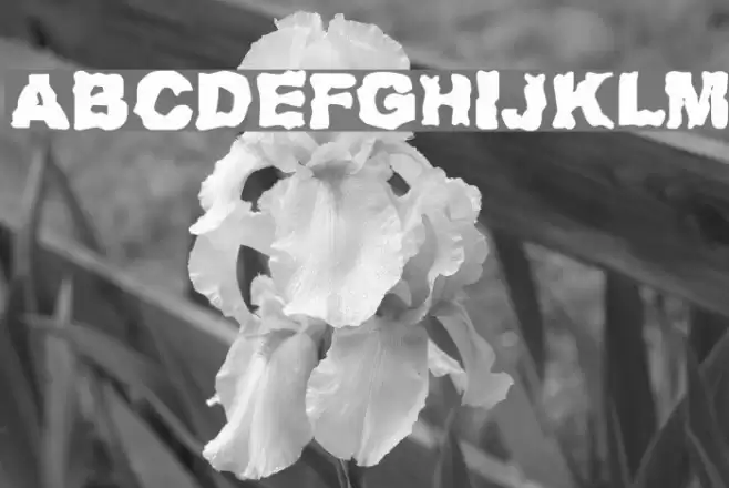 Redneck Zombies Fonte examples