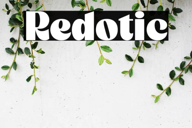 Redotic Example 1