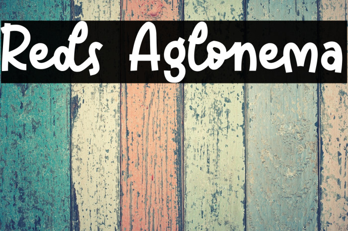 Reds Aglonema Example 1