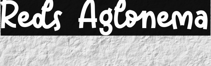 Reds Aglonema Example 2