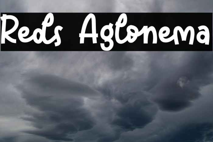 Reds Aglonema Example 3