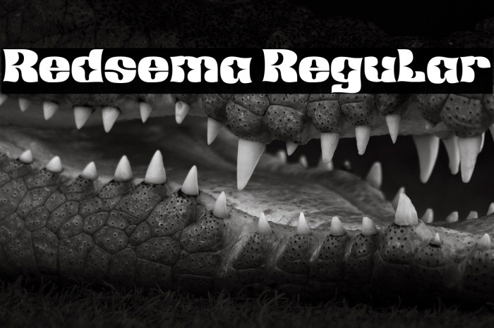 Redsema Regular Example 1