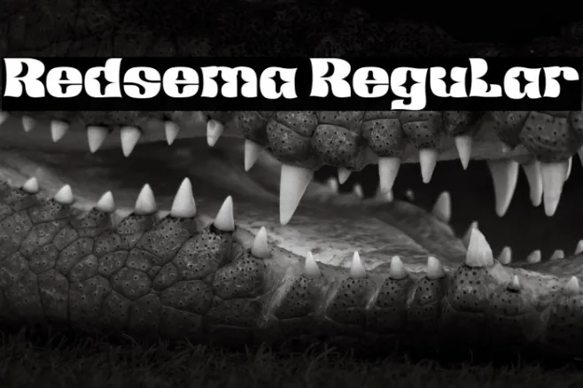 Redsema Regular Example 1