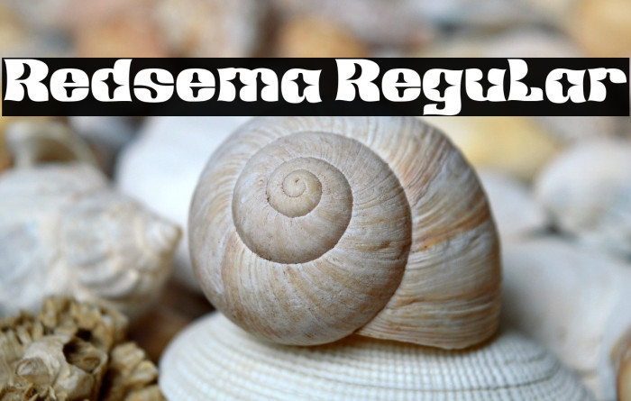 Redsema Regular Example 2