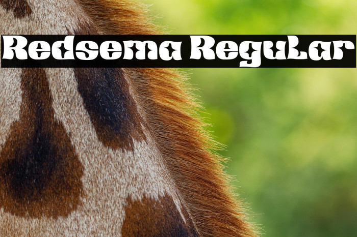 Redsema Regular Example 3