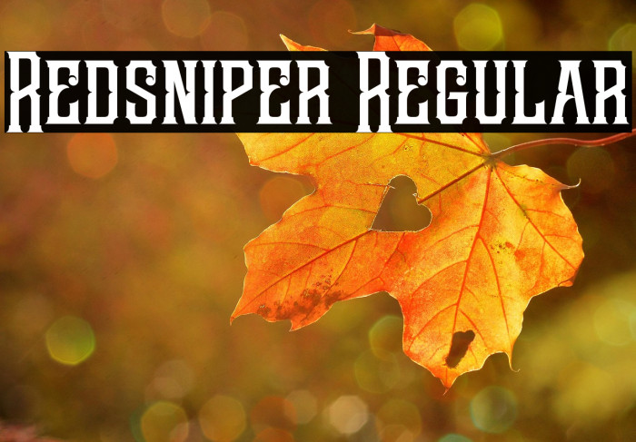 Redsniper Regular Example 3