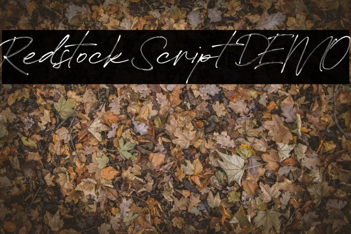 Redstock Script DEMO Font examples