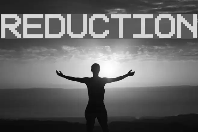 Reduction Polices examples