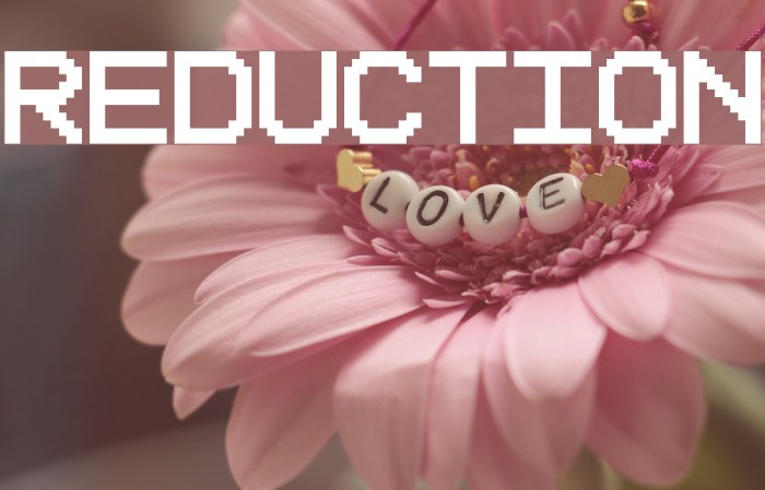 Reduction Polices examples