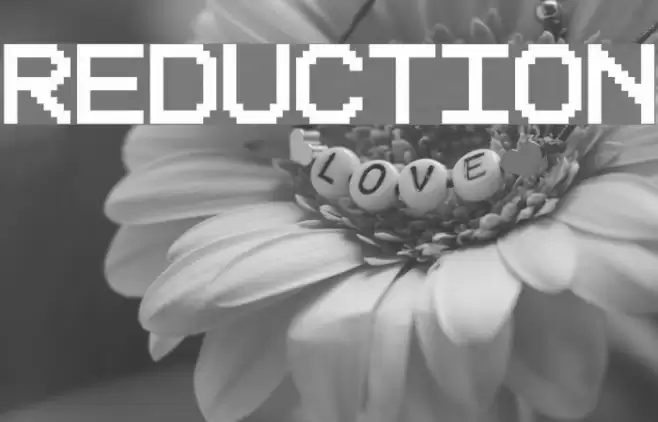 Reduction Polices examples