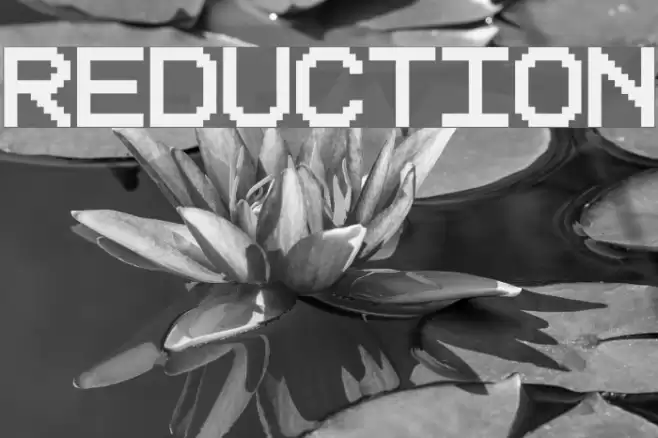 Reduction Polices examples