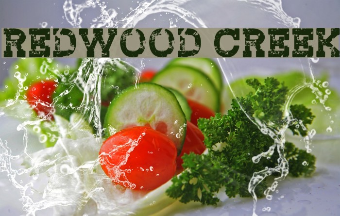 Redwood Creek Font examples