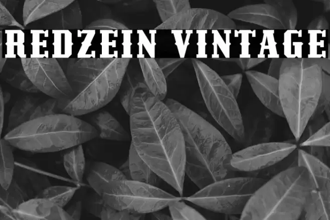 Redzein Vintage Font examples