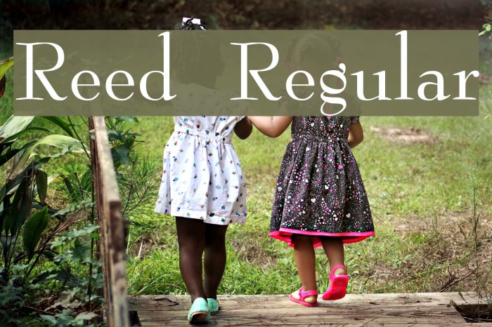 Reed Regular Font examples