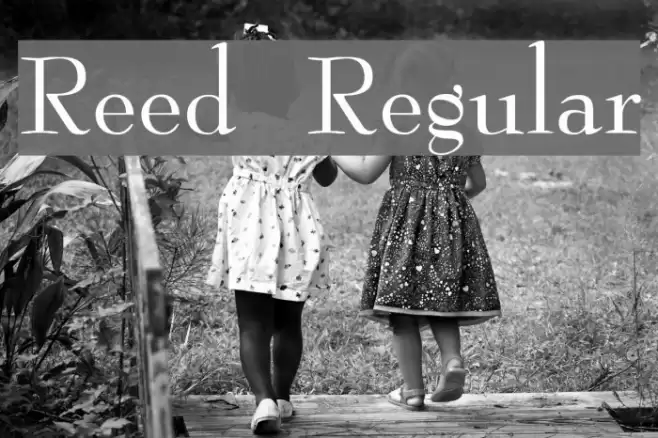 Reed Regular Font examples