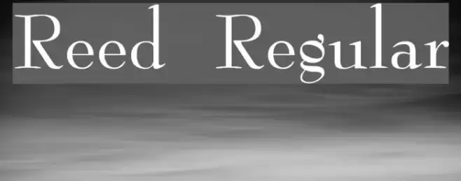 Reed Regular Font examples