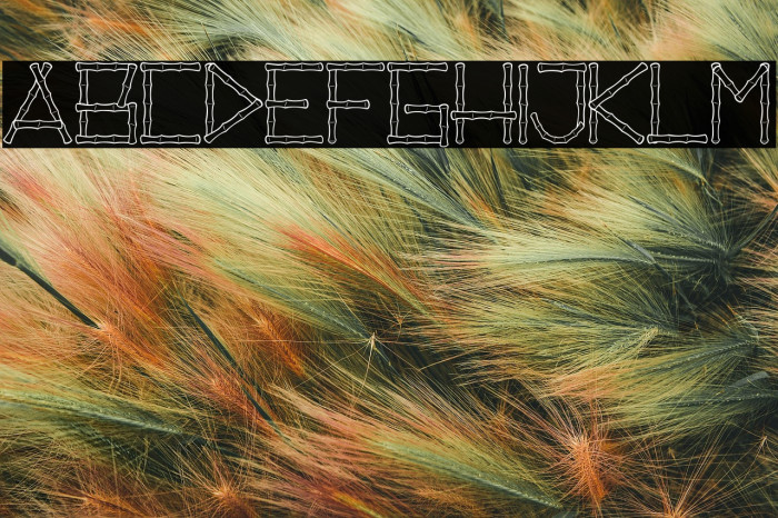 Reed Sticks_PersonalUseOnly Example 2