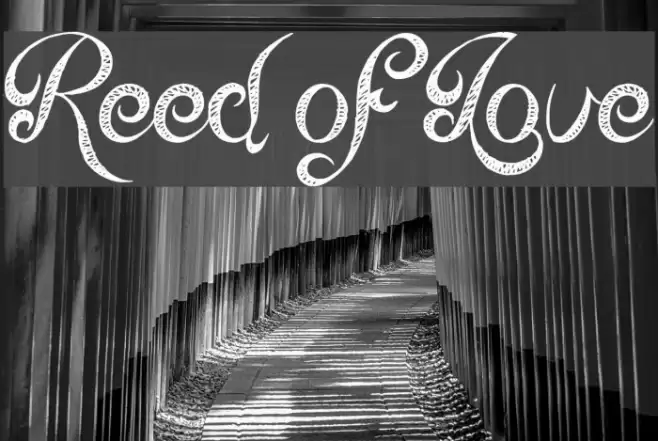 Reed of Love Font examples