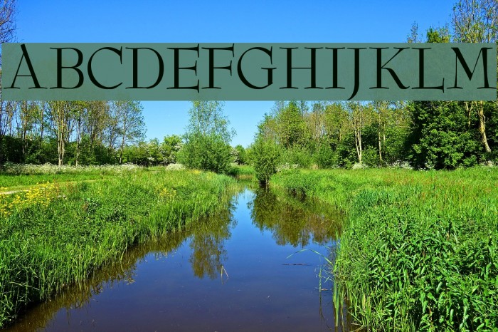 ReedFont Font examples