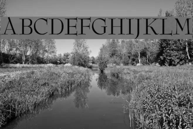 ReedFont Font examples