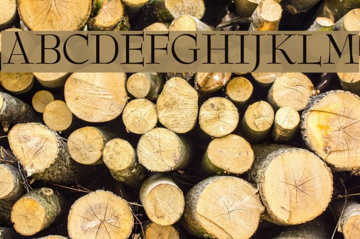 ReedFont Font examples