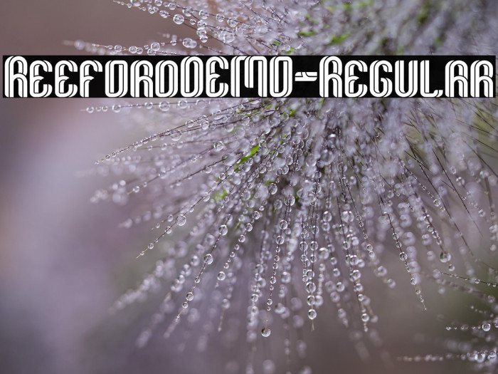 ReefordDEMO-Regular Example 2