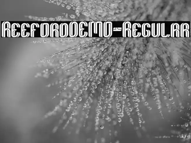 ReefordDEMO-Regular Font examples