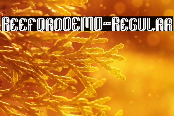 ReefordDEMO-Regular Example 3