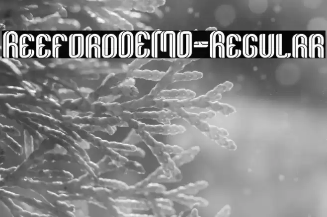 ReefordDEMO-Regular Font examples