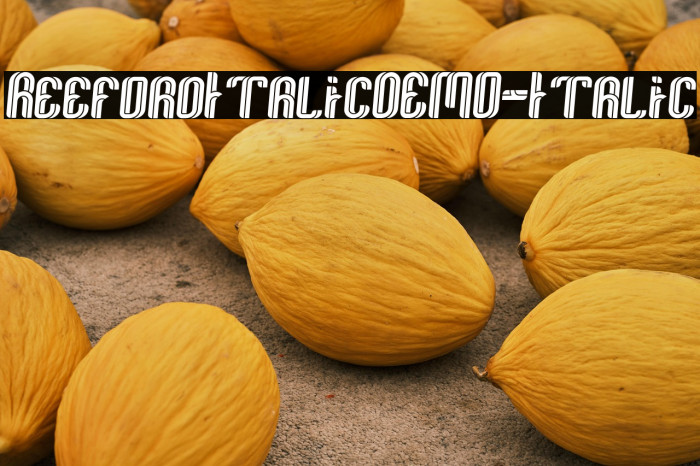 ReefordItalicDEMO-Italic Example 2