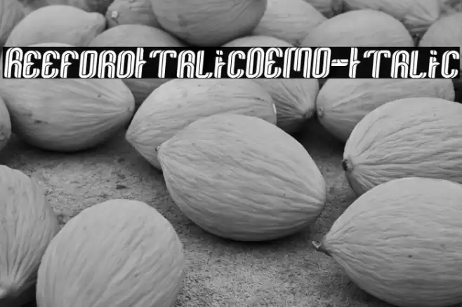 ReefordItalicDEMO-Italic Font examples