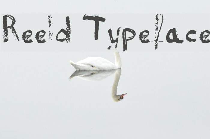 Reeld Typeface Example 2