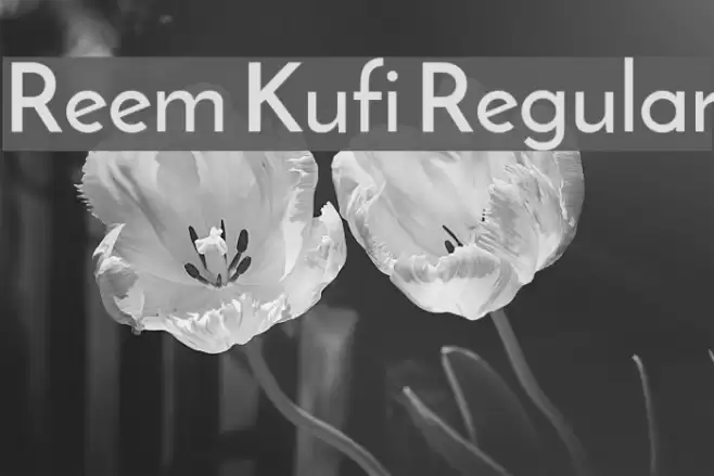 Reem Kufi Regular Font examples