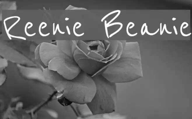 Reenie Beanie Font examples