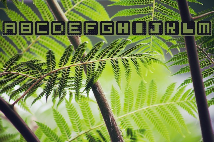 Reese Rounded Regular Font examples