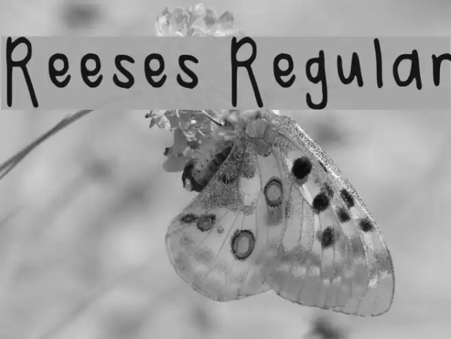 Reeses Regular Font examples