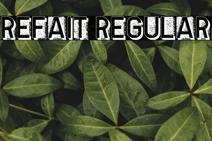 Refait Regular Example 1
