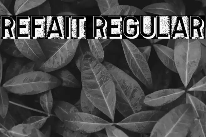 Refait Regular Fonte examples