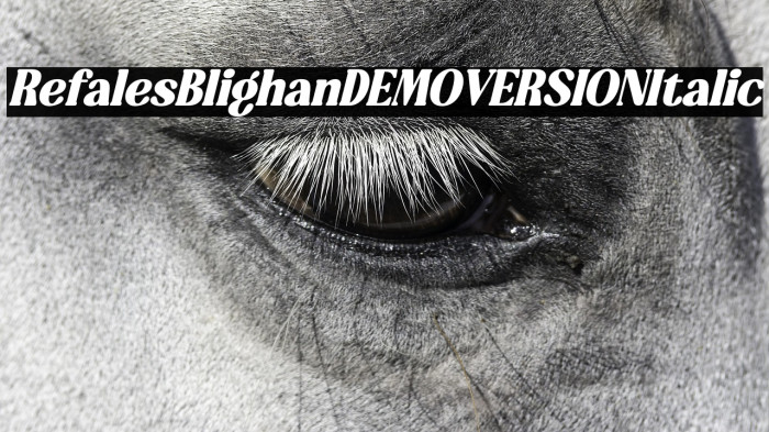 Refales Blighan DEMO VERSION Italic Example 1