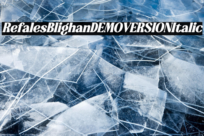 Refales Blighan DEMO VERSION Italic Example 2