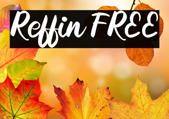 Reffin FREE Example 2