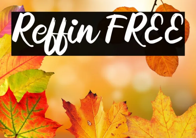 Reffin FREE Example 2