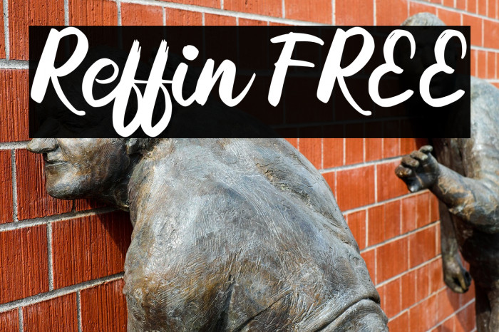 Reffin FREE Example 3