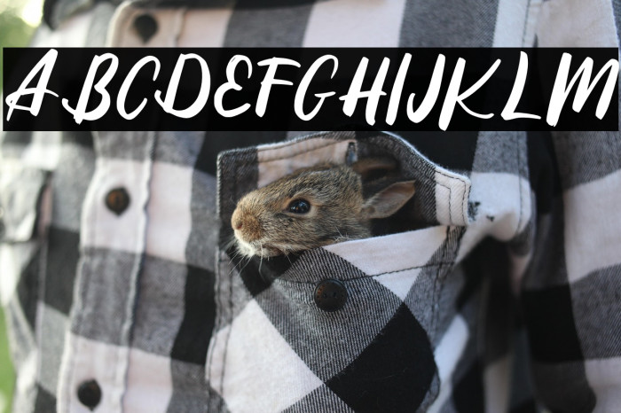 ReffinFREE Example 1