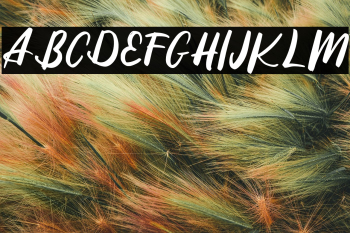 ReffinFREE Example 3